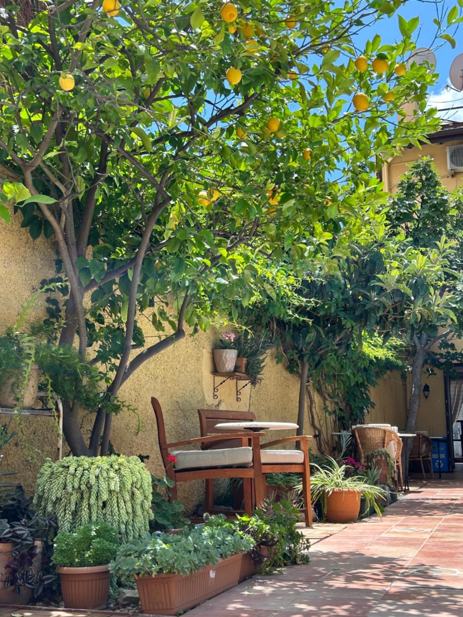 Villa Danlin Hotel Гьочек Екстериор снимка