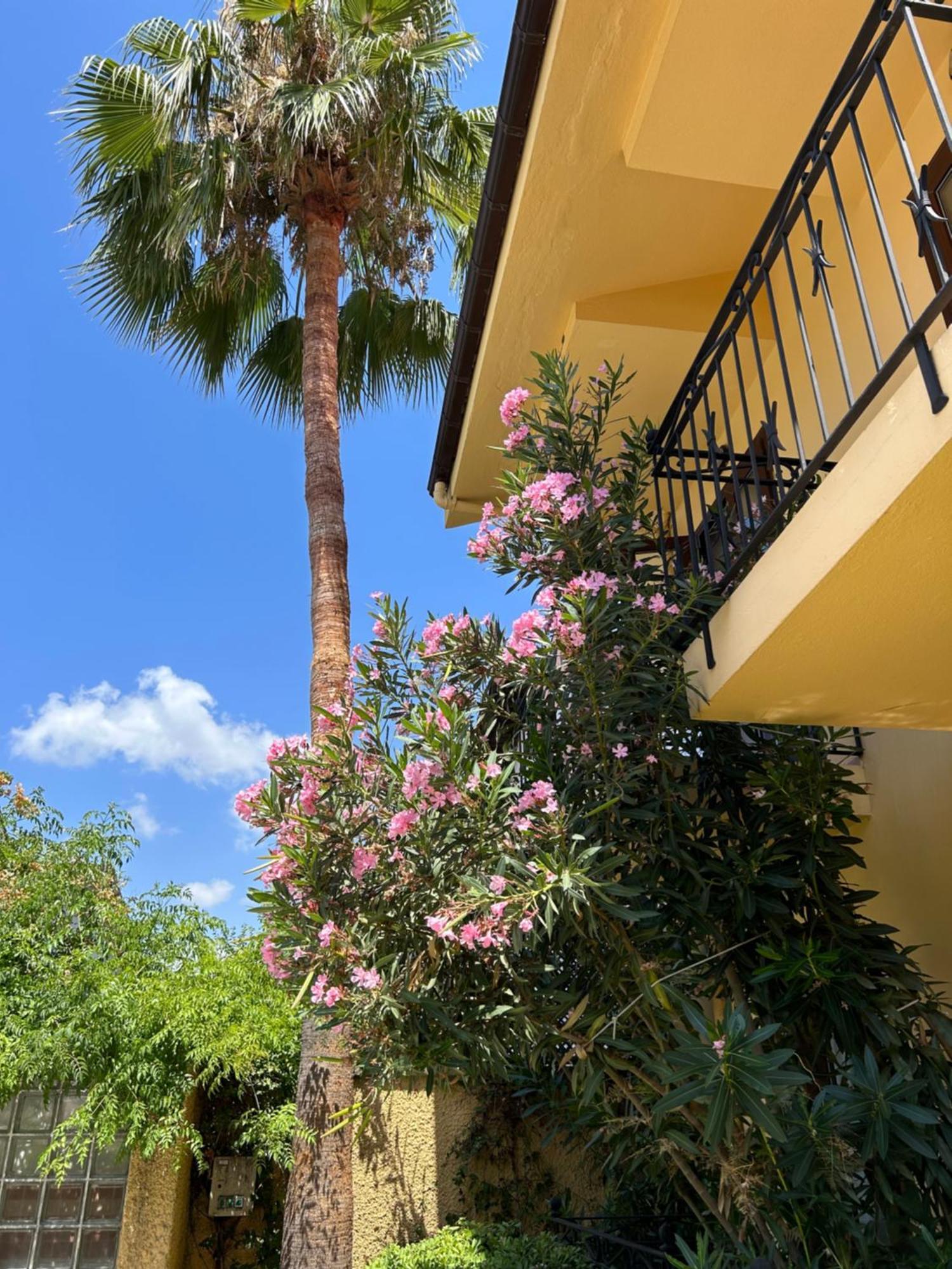 Villa Danlin Hotel Гьочек Екстериор снимка
