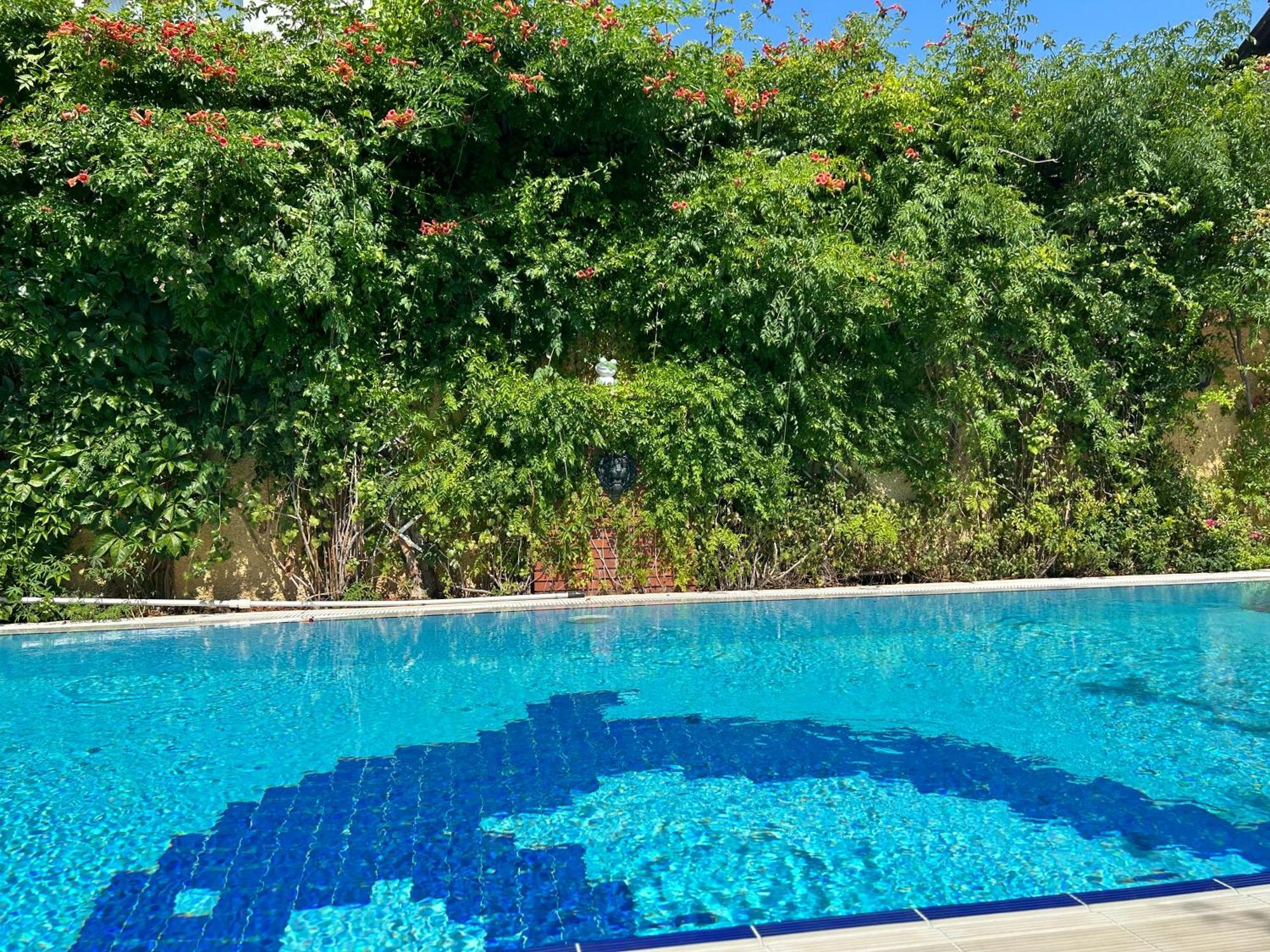 Villa Danlin Hotel Гьочек Екстериор снимка