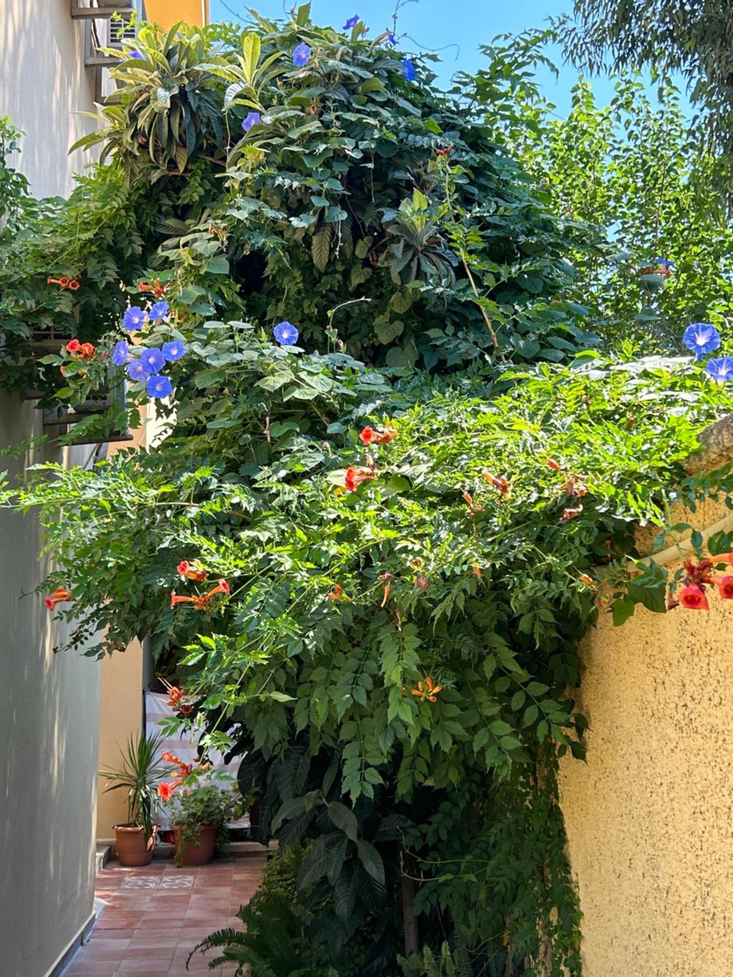 Villa Danlin Hotel Гьочек Екстериор снимка