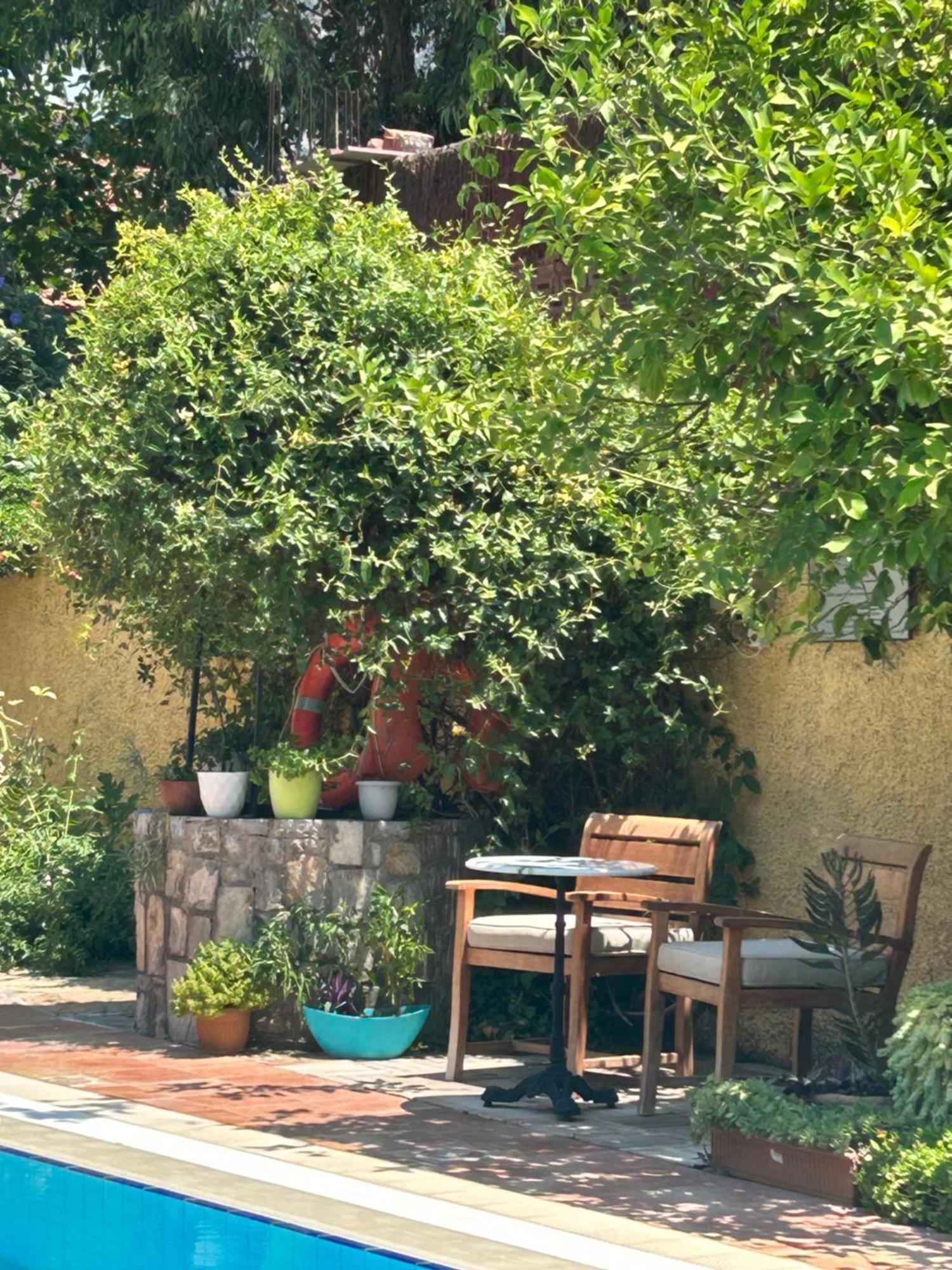 Villa Danlin Hotel Гьочек Екстериор снимка
