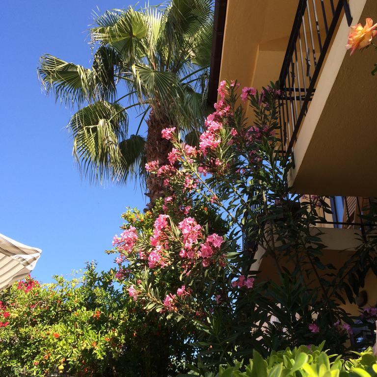 Villa Danlin Hotel Гьочек Екстериор снимка